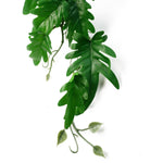 50cm Artificial Trailing Philodendron Large  Plant