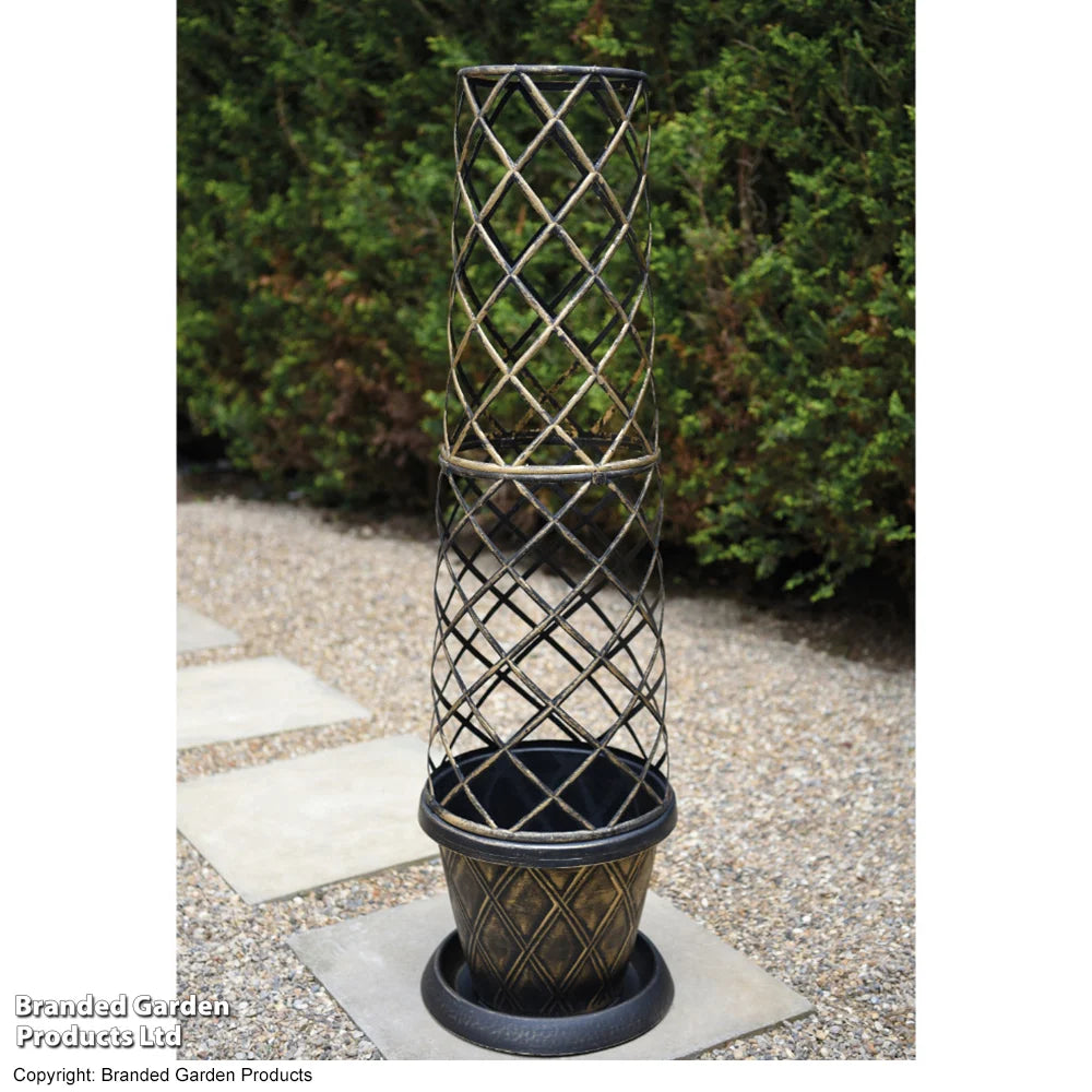 Thompson & Morgan Clematis Montana Red Velvet Truffle 9cm Pot + Tower Pot