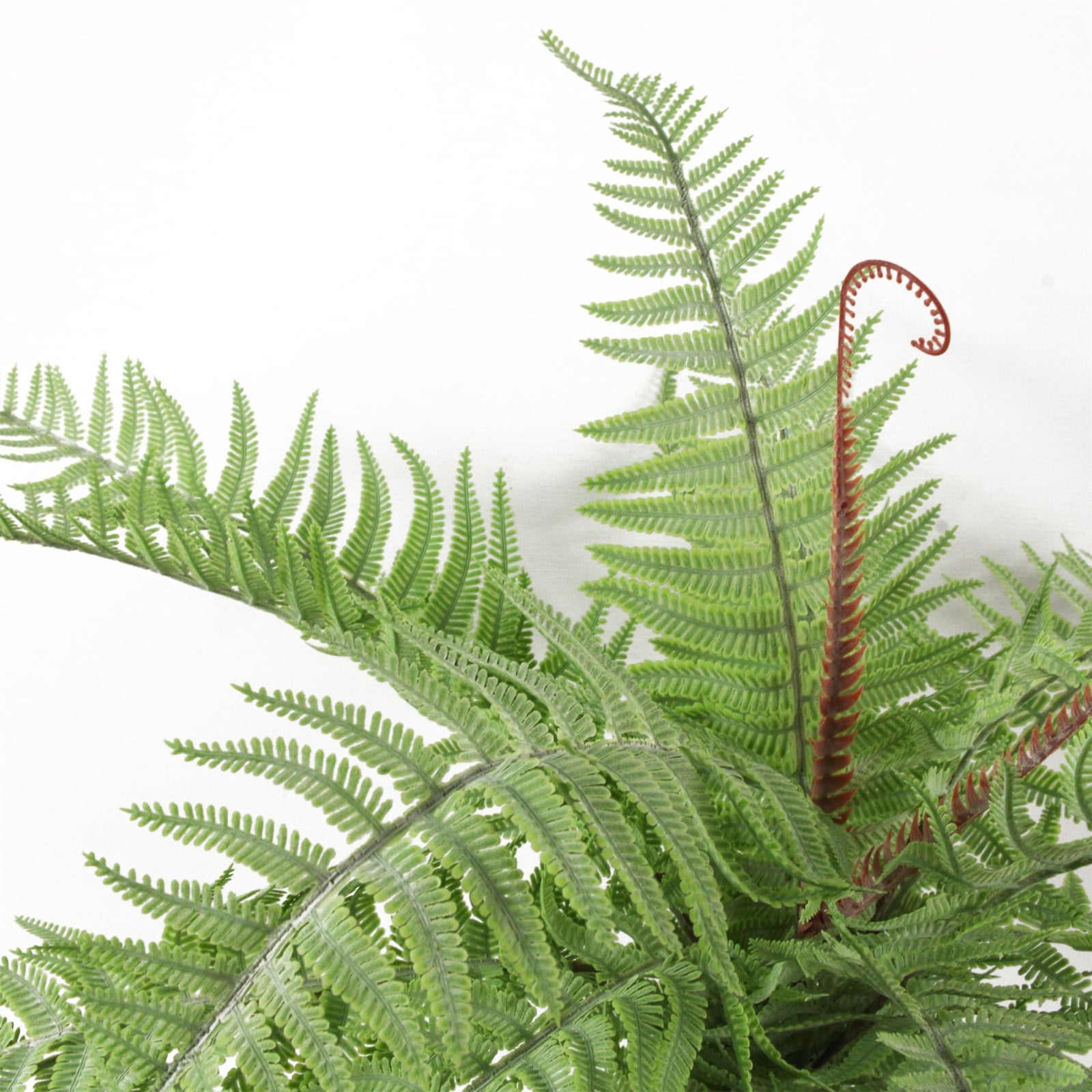 Artificial 60cm Bushy Dixie Wood Fern Light Green Plant