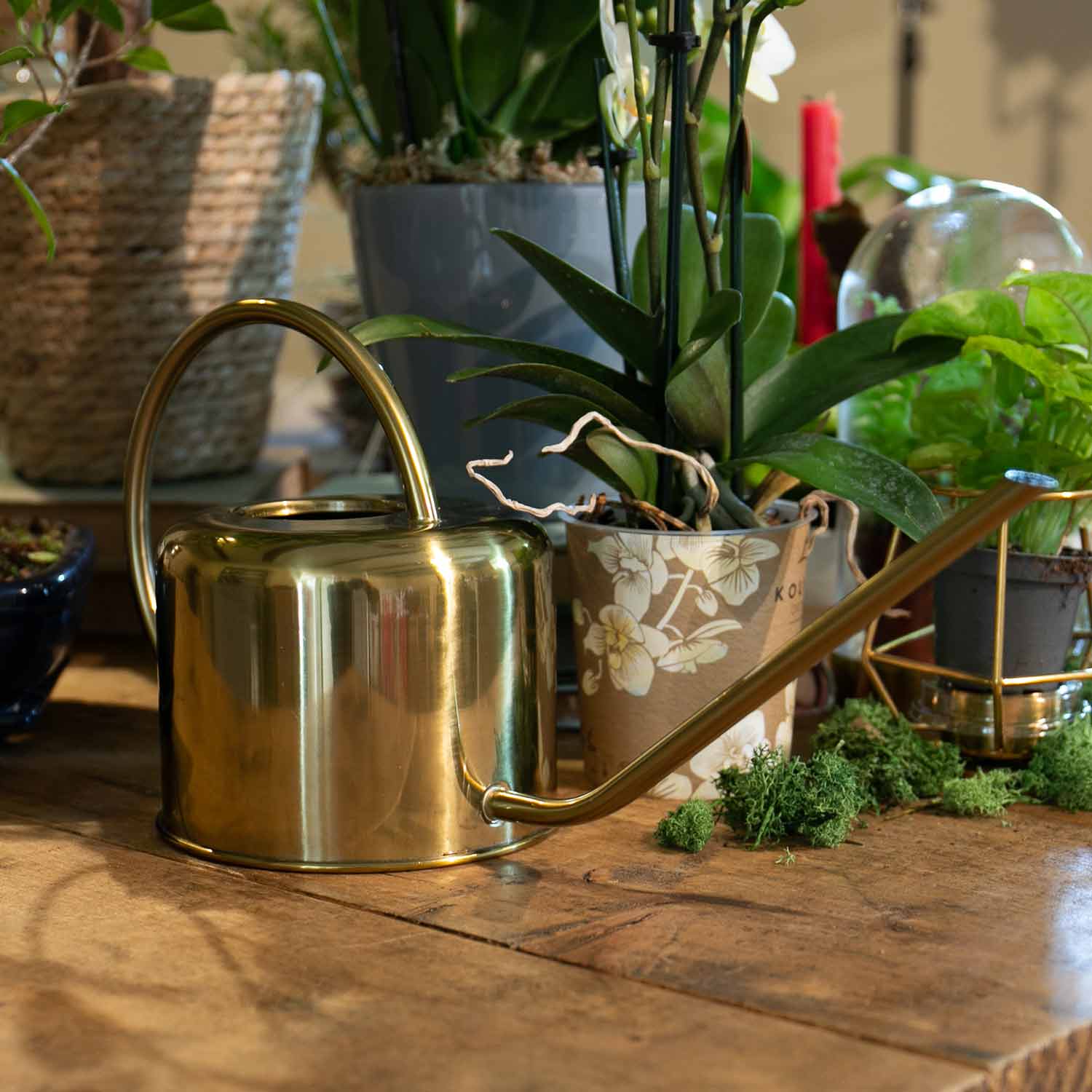 Copper-plated Indoor Watering Can | Copper