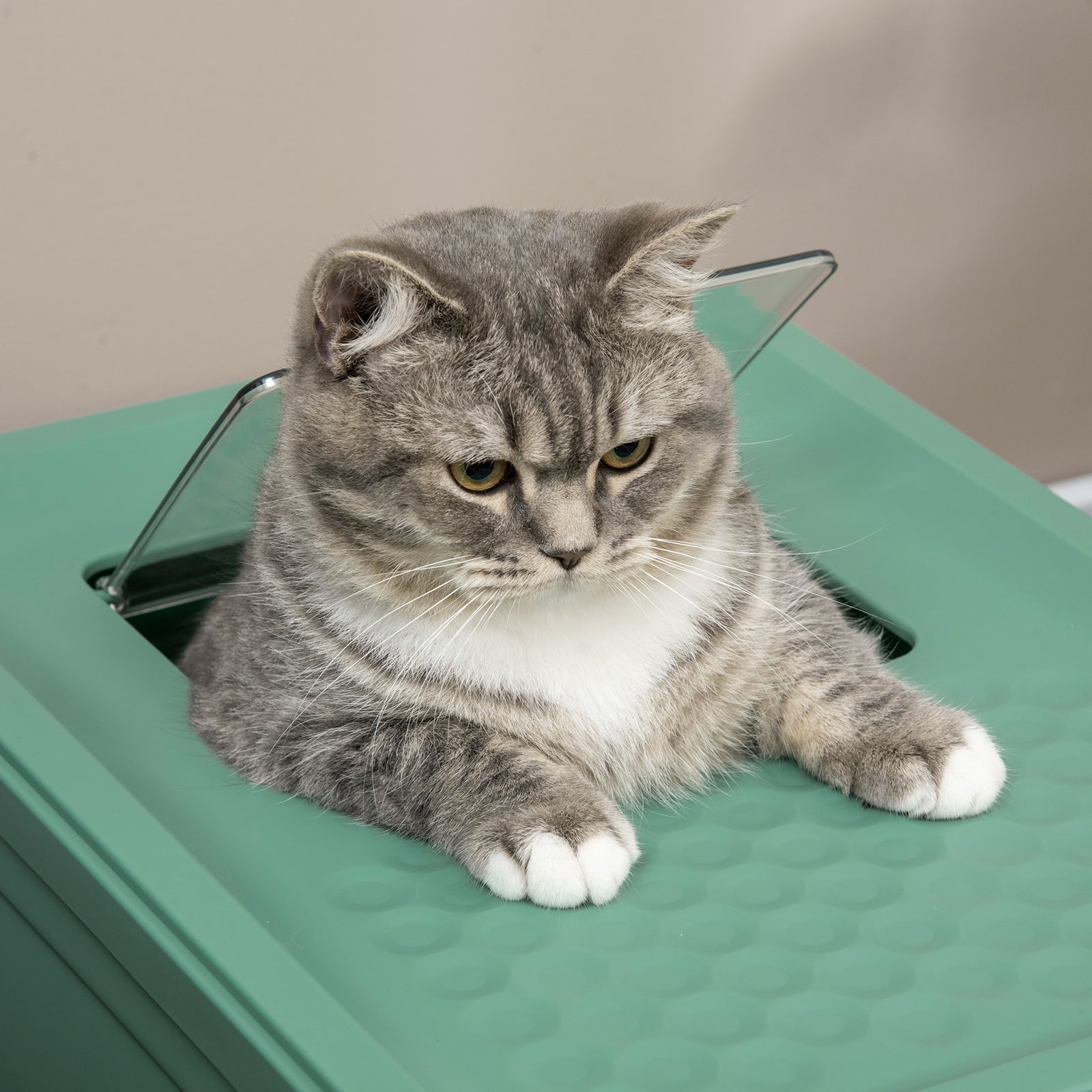 Hooded Cat Litter Box W/ Tray, Scoop, Front Entry | Green