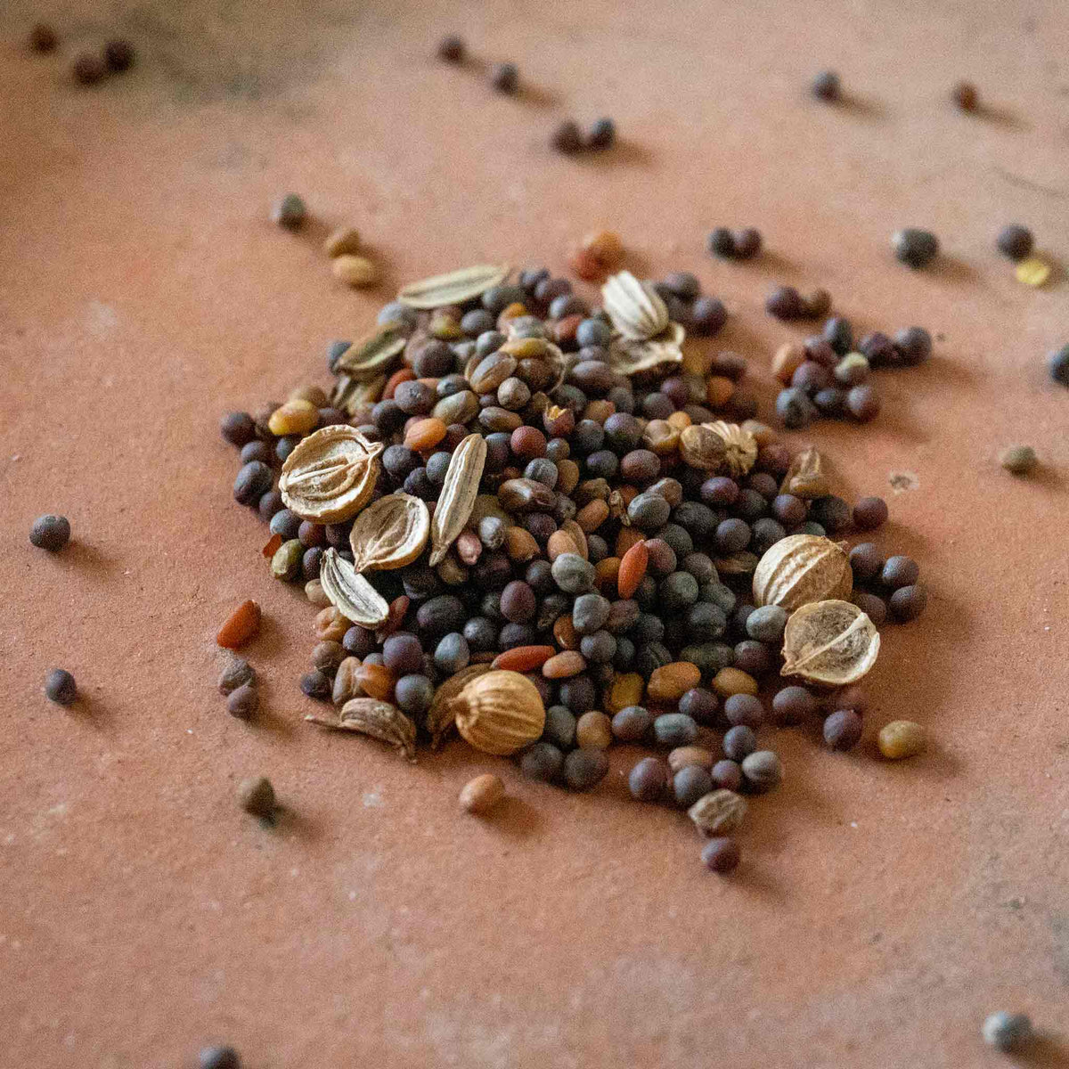 Salad Seeds Herb Mix -  Mixed Baby Leaves