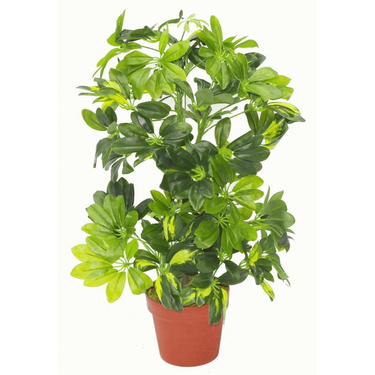 Artificial 75cm Arboricola Gold Capella Plant Gold Planter