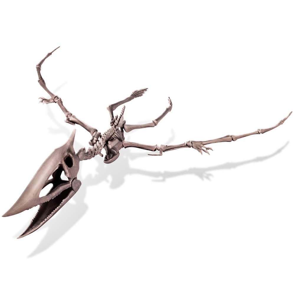 Kidzlabs - Dig A Pteranodon Skeleton