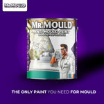 Anti-mould Paint - Premium Colour & Protection For Interior Walls & Ceilings | 1L | Light Grey