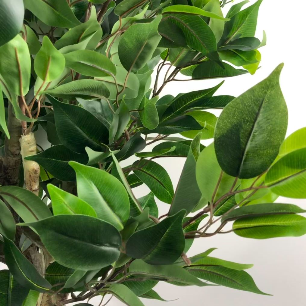 Artificial 110cm Evergreen Ficus Tree Silver Curve Planter