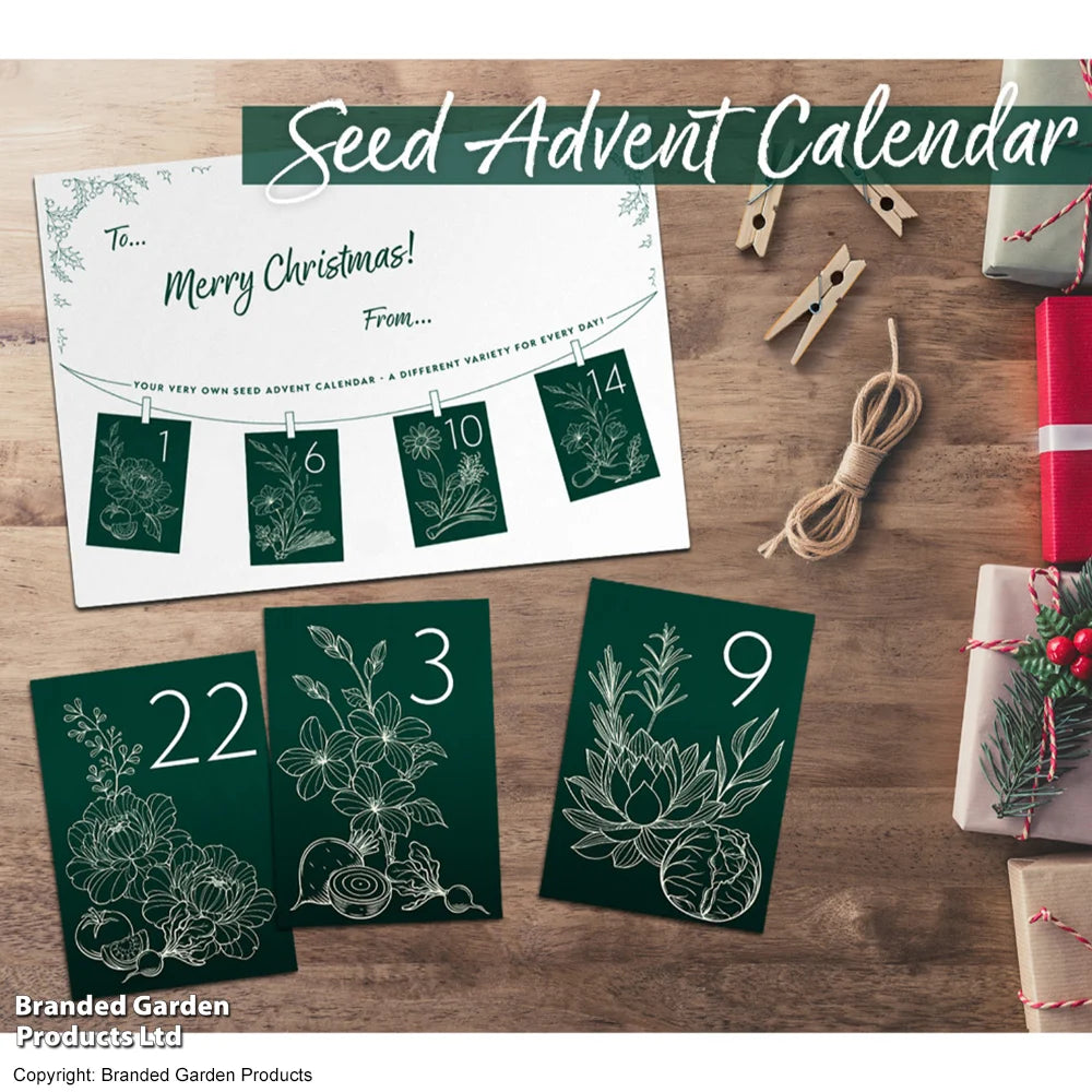 Diy Flower Seed Advent Calendar - Christmas