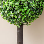 Set Of 2 60cm Potted Artificial Plants Boxwood Ball Trees