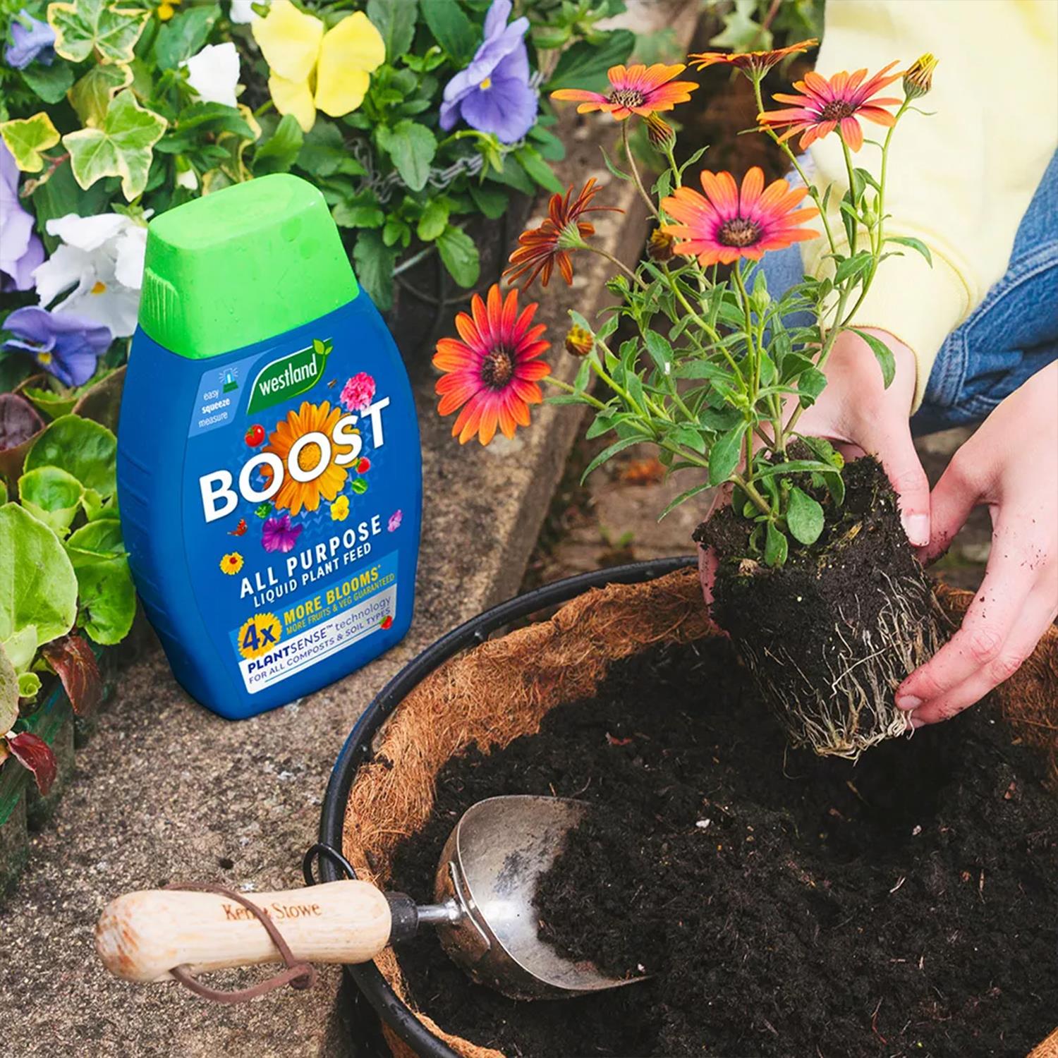 Boost All Purpose Liquid Plant Feed With Plantsense Technology, 1 Litre | 1L | Blue