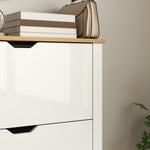 12-shoe Storage Cabinet 4 Shelves 2 Drawers Tabletop | White