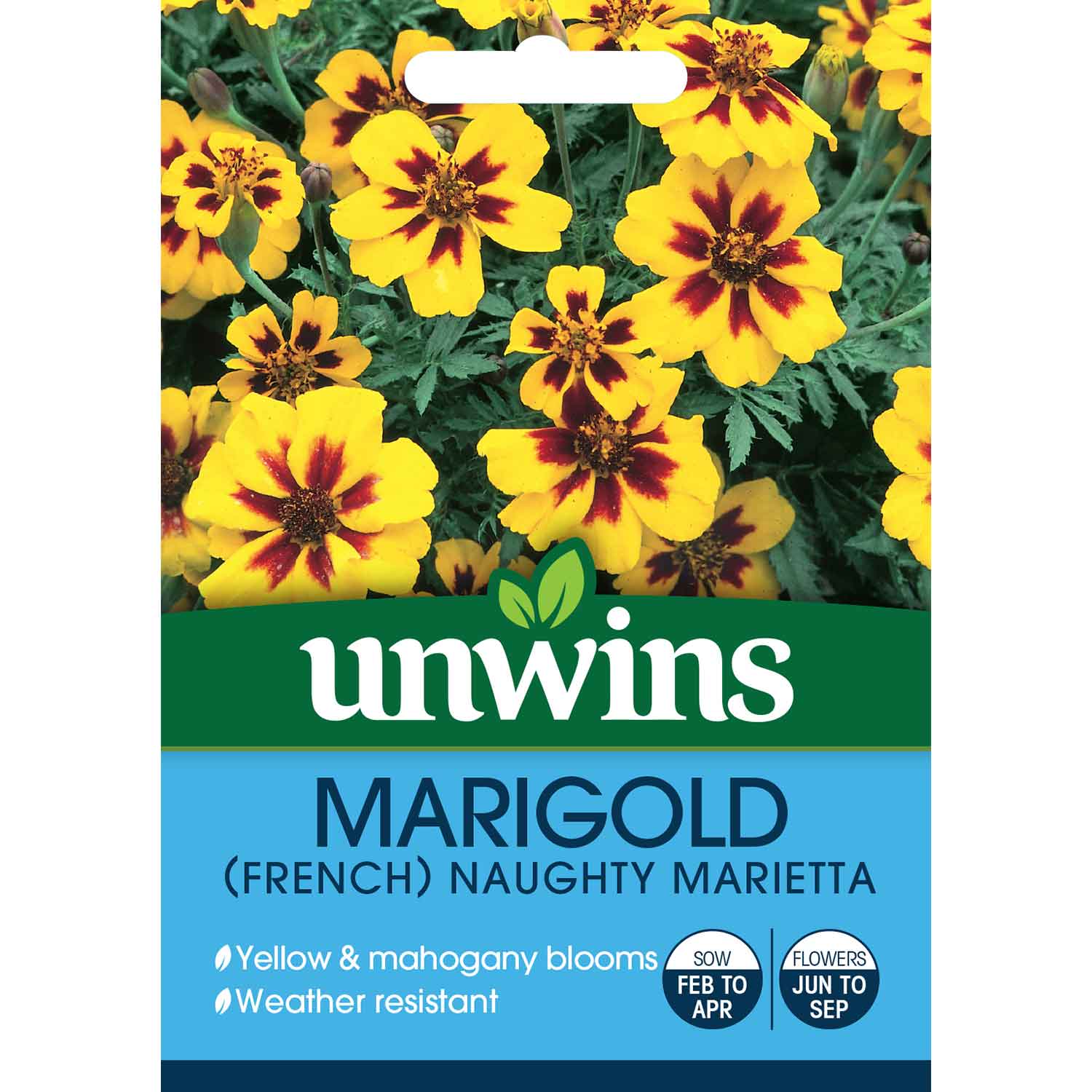 French Marigold Naughty Marietta Seeds | 130 Seeds