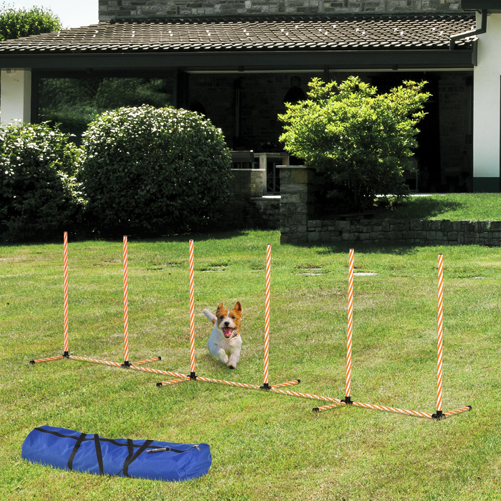Dog Agility Weave Poles Training Obstacle Course Set With Whistle