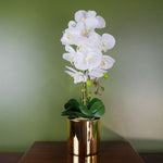52cm Artificial Orchid Large White And Gold