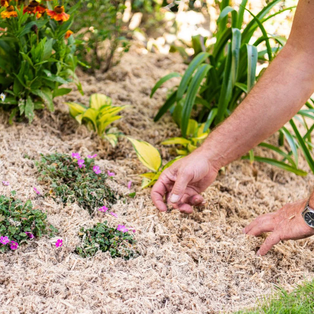Incredimulch Plus 10 Litre Bag | Set-of-1