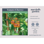 Tomato Seeds Gold Berries - Golden Cherry | 8 Seeds