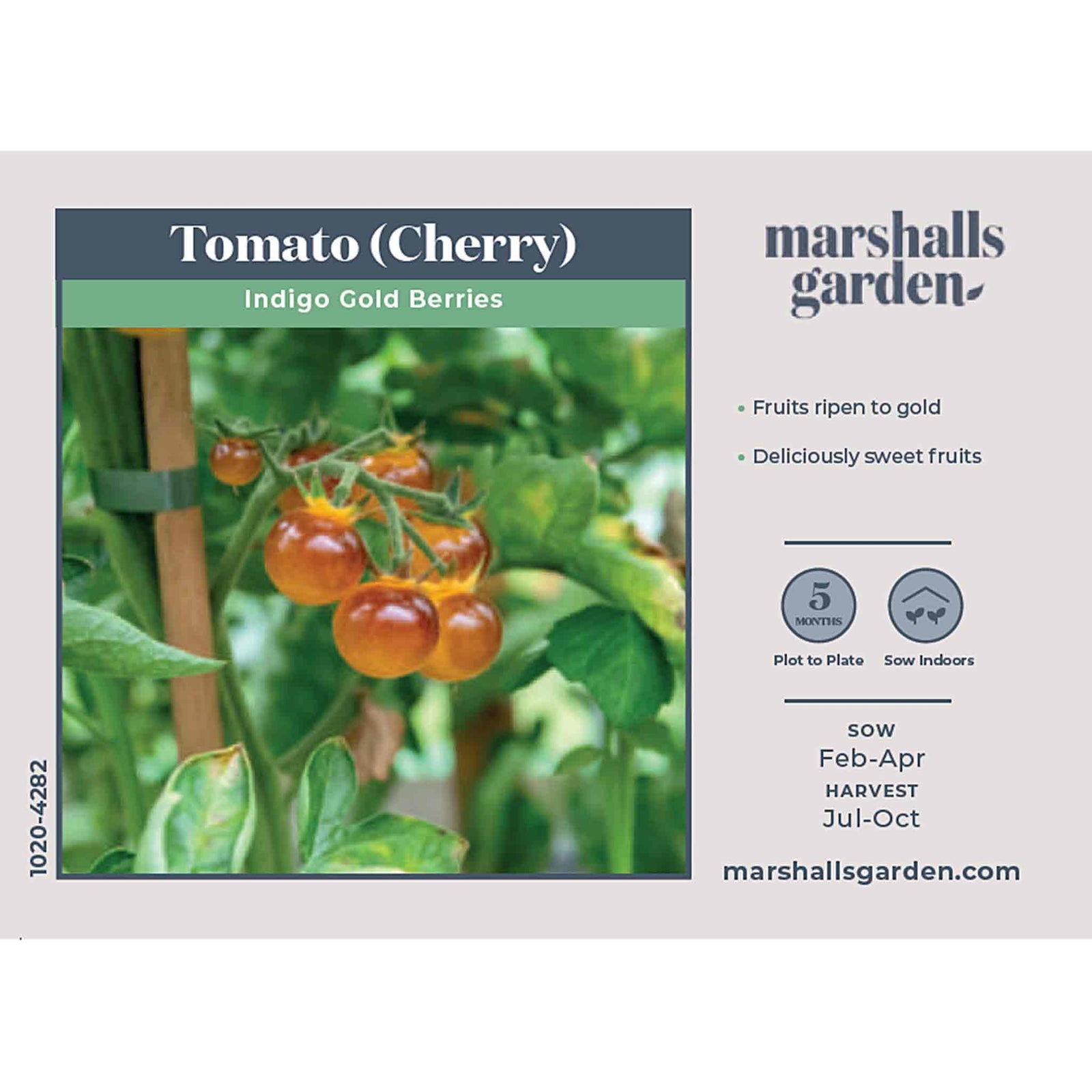 Tomato Seeds Gold Berries - Golden Cherry | 8 Seeds