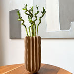 Lucky Bamboo - 6 Pcs. - Dracaena Sanderiana - Height 40-50cm - ⌀2cm | Set of 6 | Green