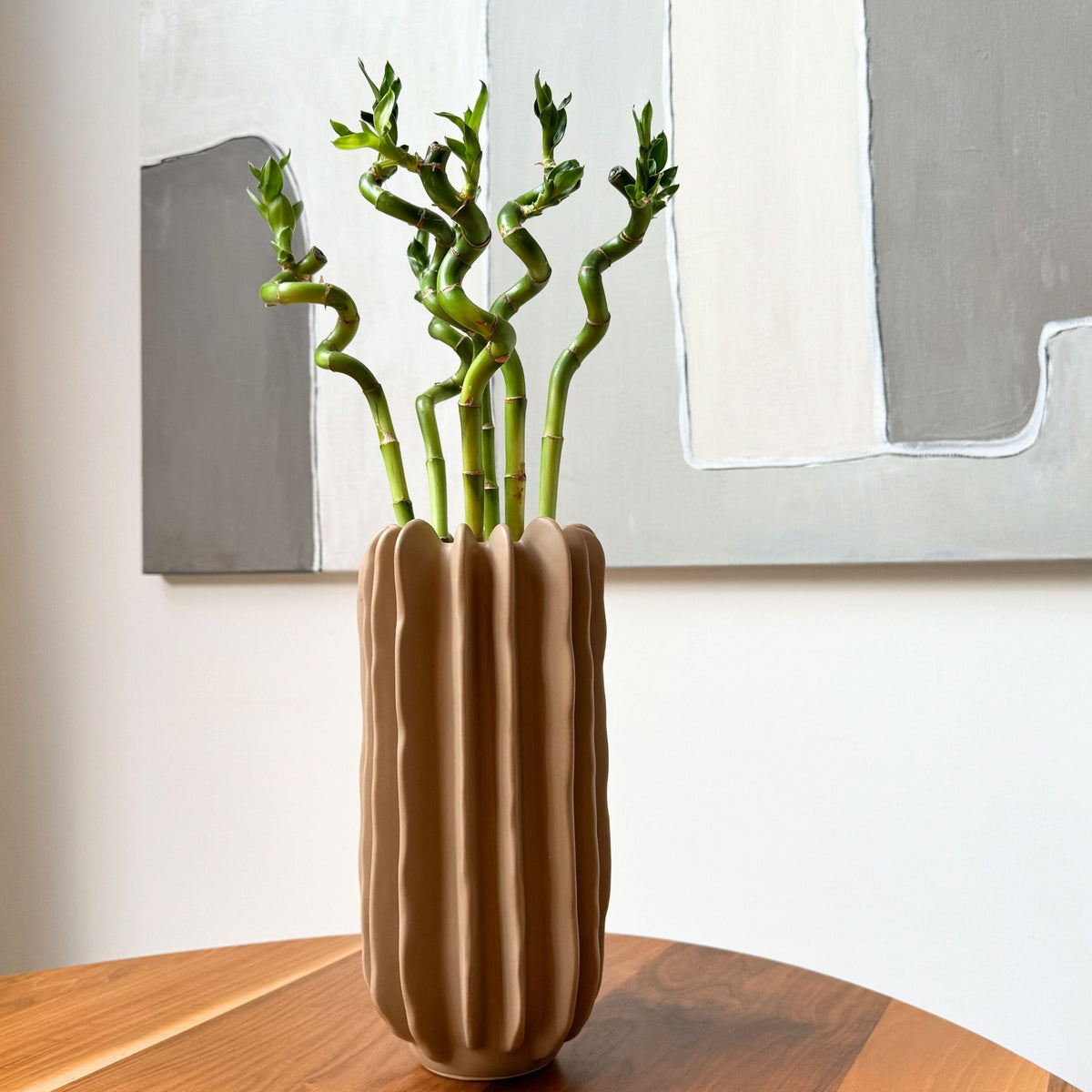 Lucky Bamboo - 6 Pcs. - Dracaena Sanderiana - Height 40-50cm - ⌀2cm | Set of 6 | Green