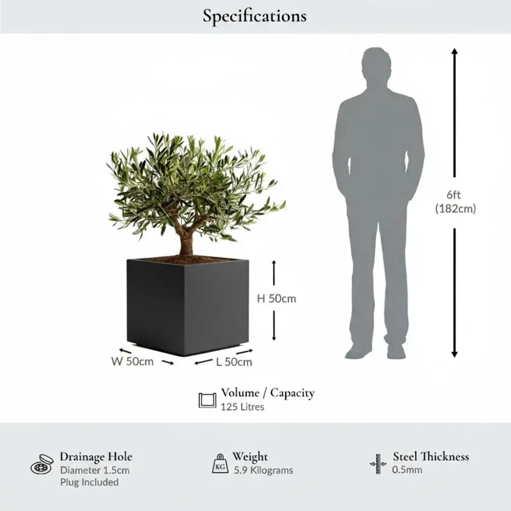 Zinc Galvanised Square Planter | 50cm x 50cm x 50cm | Grey