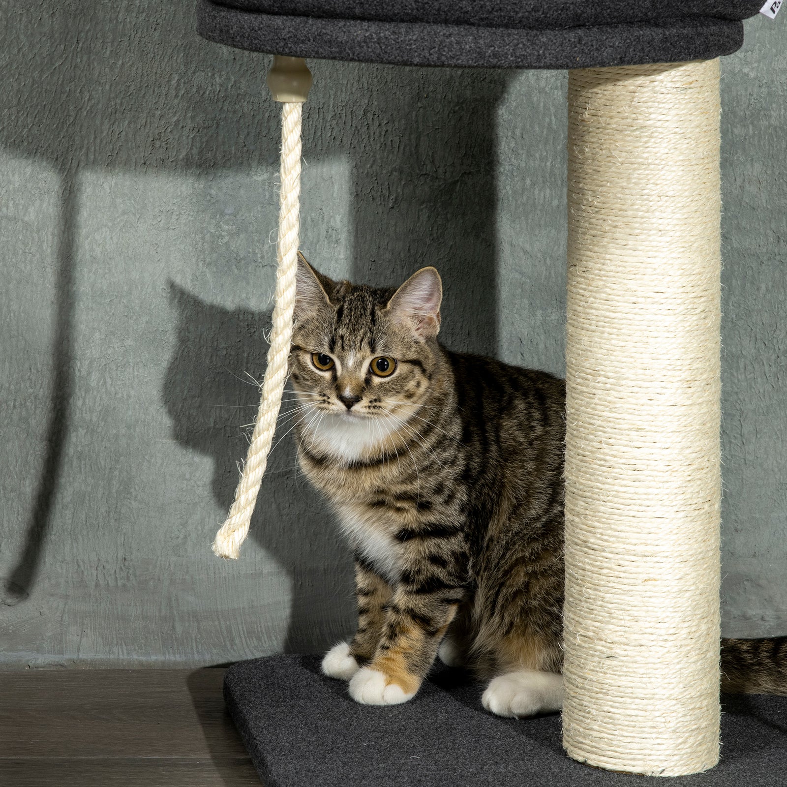 Floor-to-ceiling Cat Tree, Height Adjustable, Black
