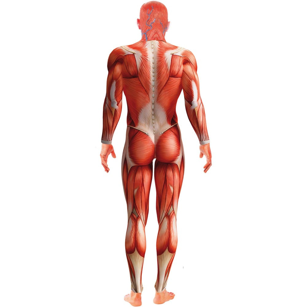 Anatomy Man Costume | Medium