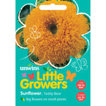 Sunflower 'teddy Bear' Seeds | 35 Seeds