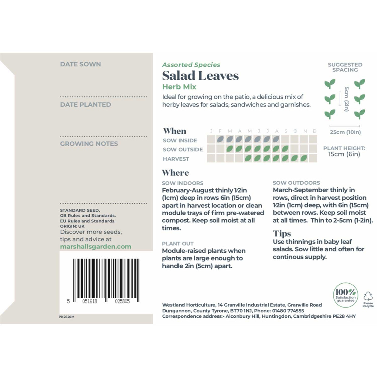 Salad Seeds Herb Mix -  Mixed Baby Leaves