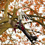 Kent & Stowe Telescopic Tree Lopper Bypass Pruner Cutter 4 Gears 3m