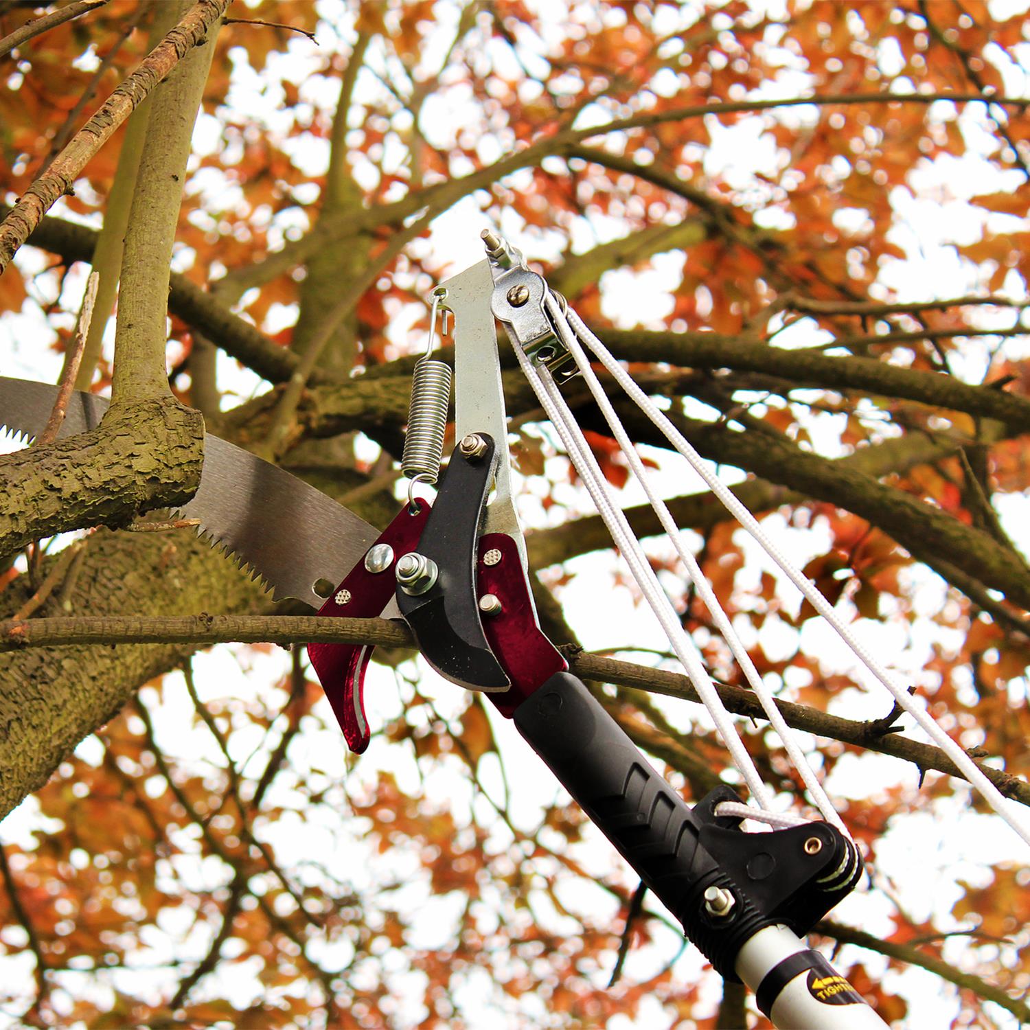 Kent & Stowe Telescopic Tree Lopper Bypass Pruner Cutter 4 Gears 3m