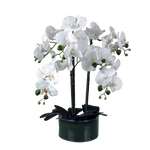 Artificial 50cm Orchid With Glass Planter White