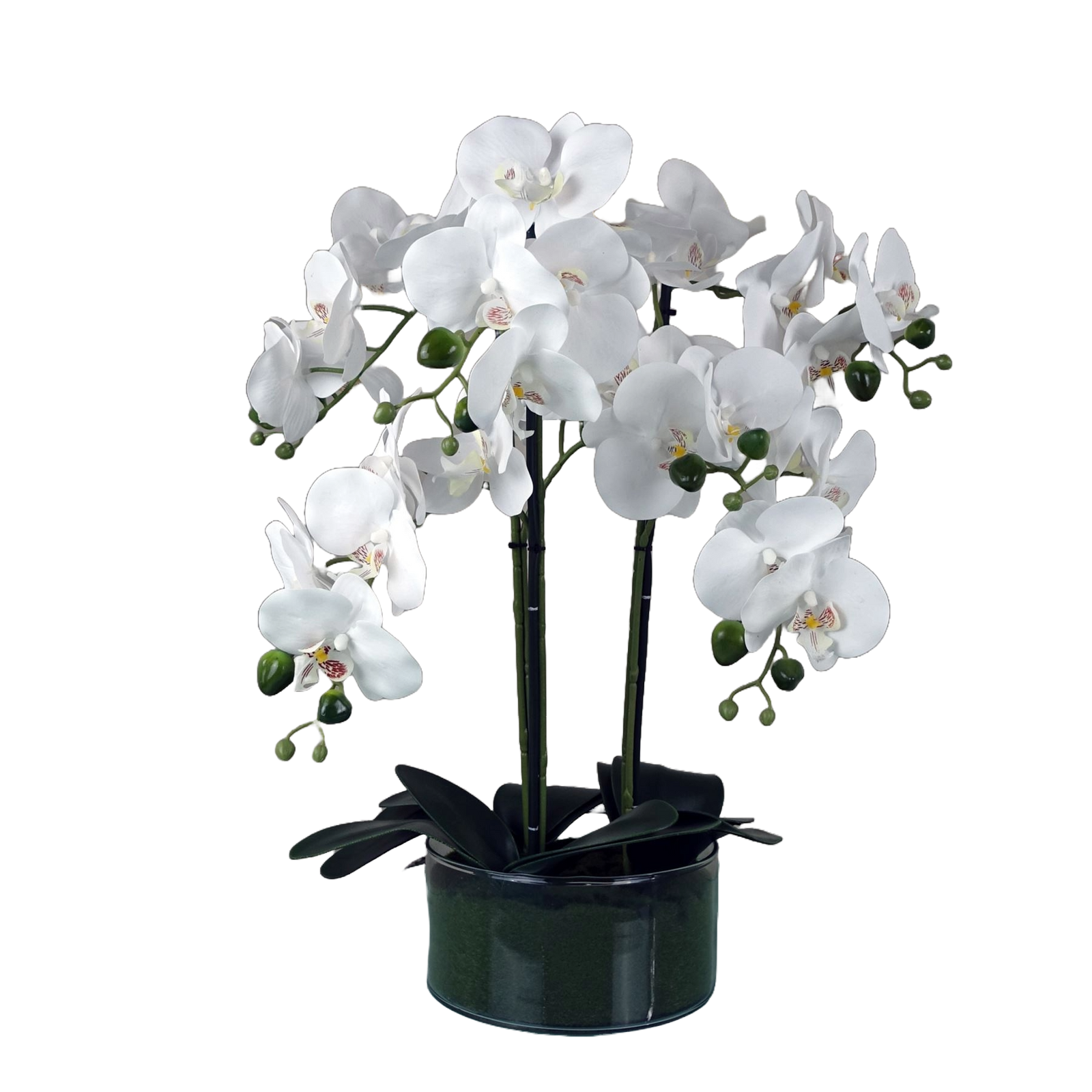 Artificial 50cm Orchid With Glass Planter White