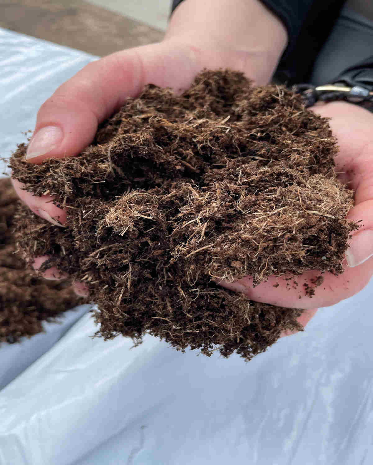 Bulrush Peat Free Compost- 40 Litre Bag | Set-of-2