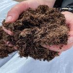 Bulrush Peat Free Compost- 40 Litre Bag | Set-of-1