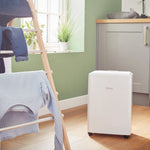 Dehumidifier 10l With Electronic Humidistat & Timer