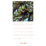2026 Square Calendar Official Product