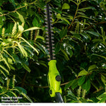 12v Telescopic Hedge Trimmer & Two Batteries