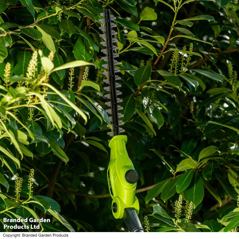 12v Telescopic Hedge Trimmer & Two Batteries