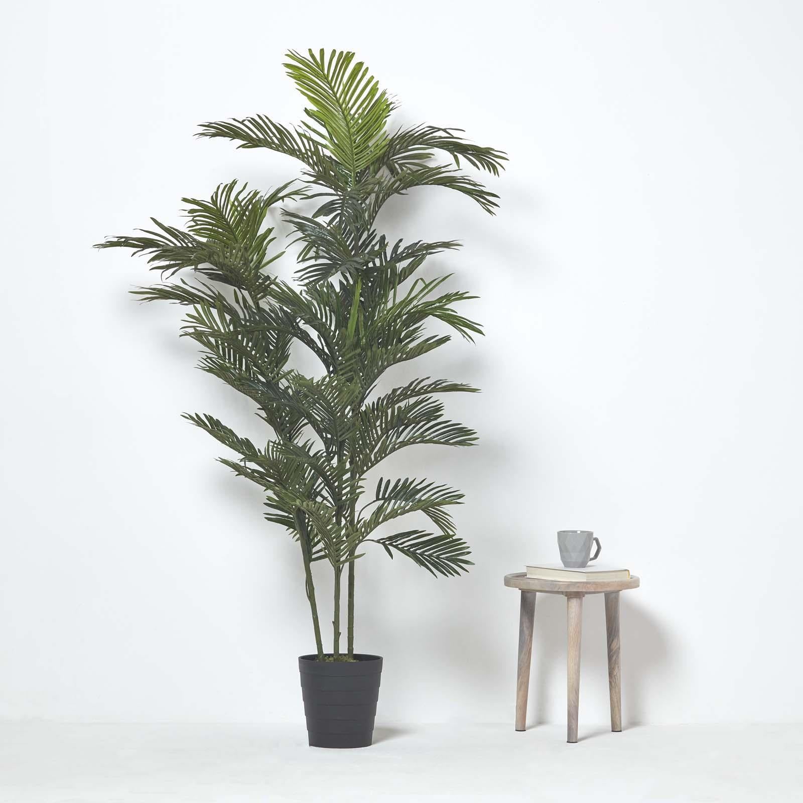 Multi Stem Green Palm Tree In Pot | 180cm | Green