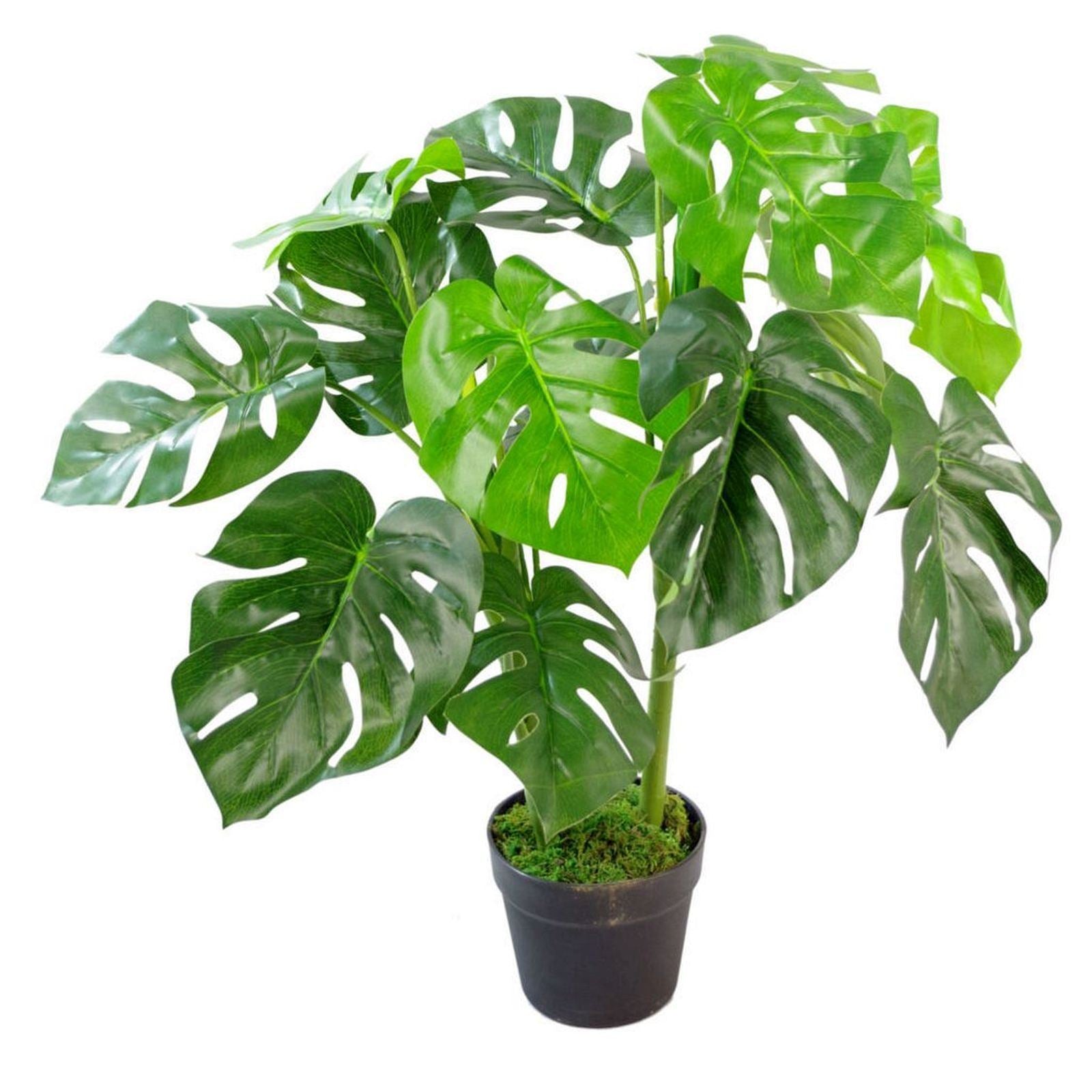 80cm  Realistic Artificial Monstera Cheese Plant