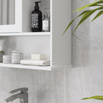 Wall Mounted Bathroom Mirror Glass Storage Cabinet