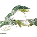 6 X 110cm Artificial Hanging Trailing Begonia Maculata Spotted Plant