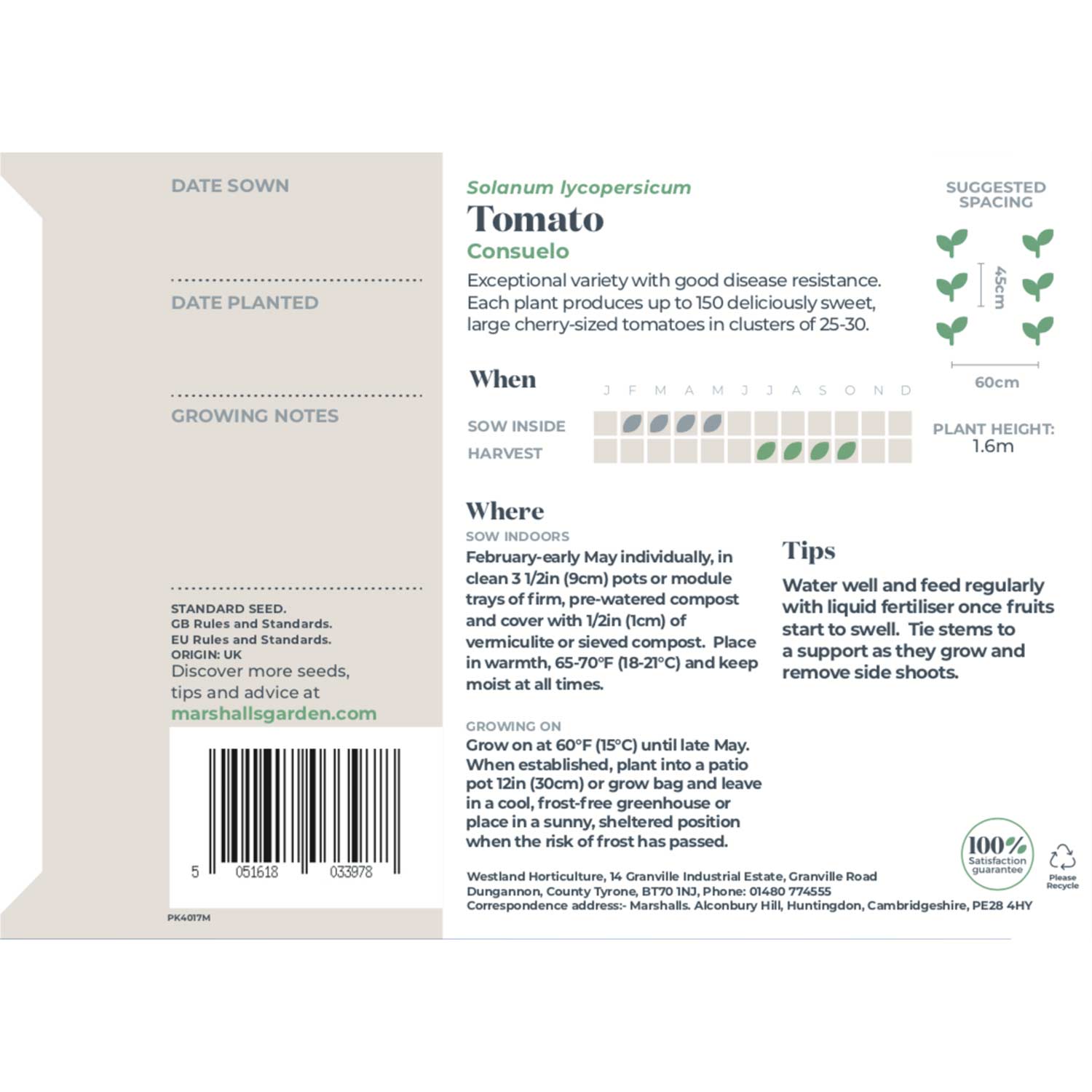 Tomato Consuelo, Blight-resistant Cherry Variety Seeds | 15 Seeds