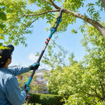Cordless 6-inch Gardening Electric Chainsaw With Telescoping Pole