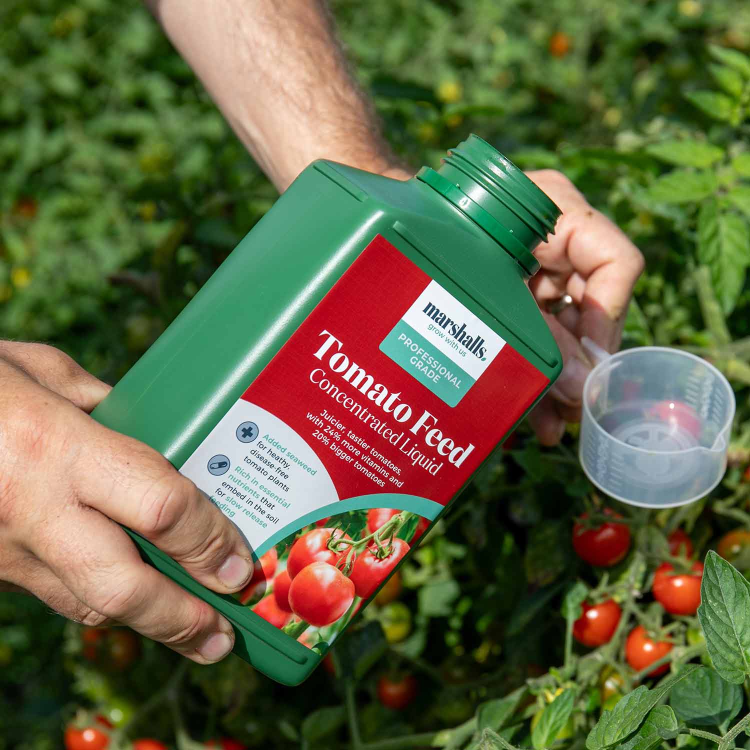 Liquid Tomato Feed | 1L