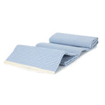 Blue And White Gingham Picnic Blanket