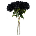 Pack Of 6 X 75cm Extra Large Reflex Chrysanthemum - Black