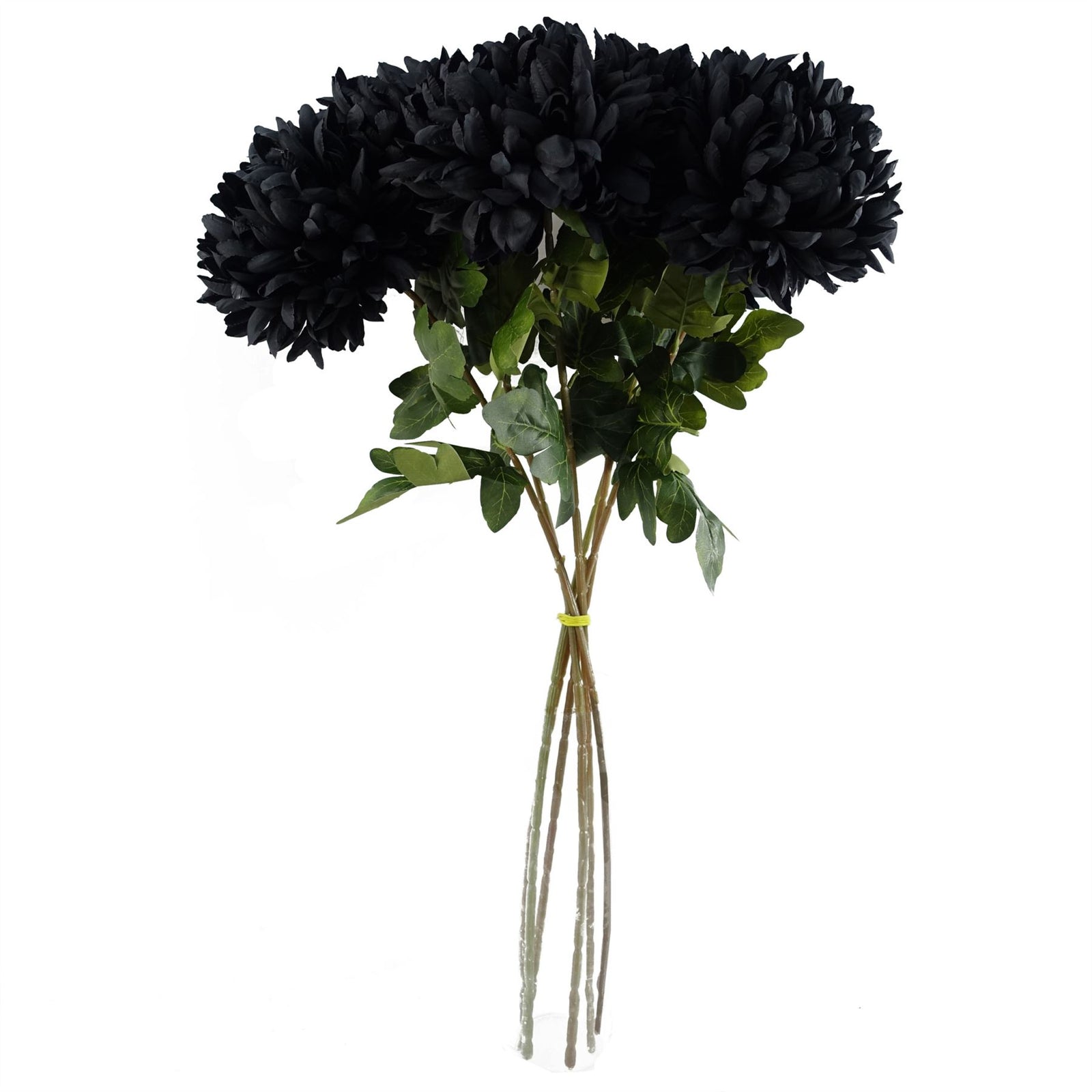Pack Of 6 X 75cm Extra Large Reflex Chrysanthemum - Black