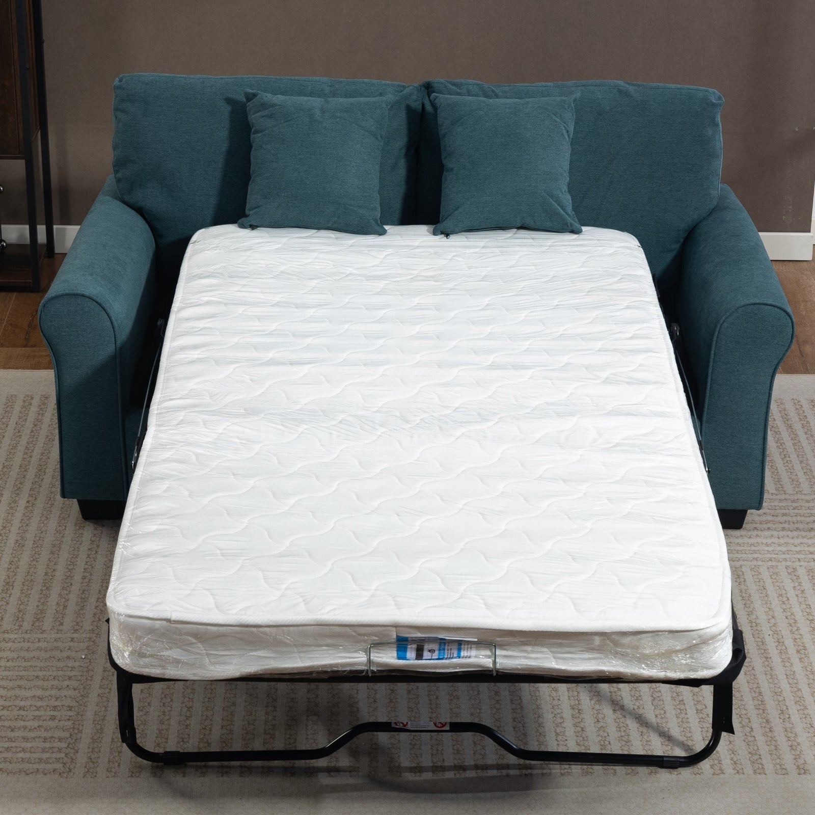 Lewiston Fabric Pull Out Sofabed | Teal