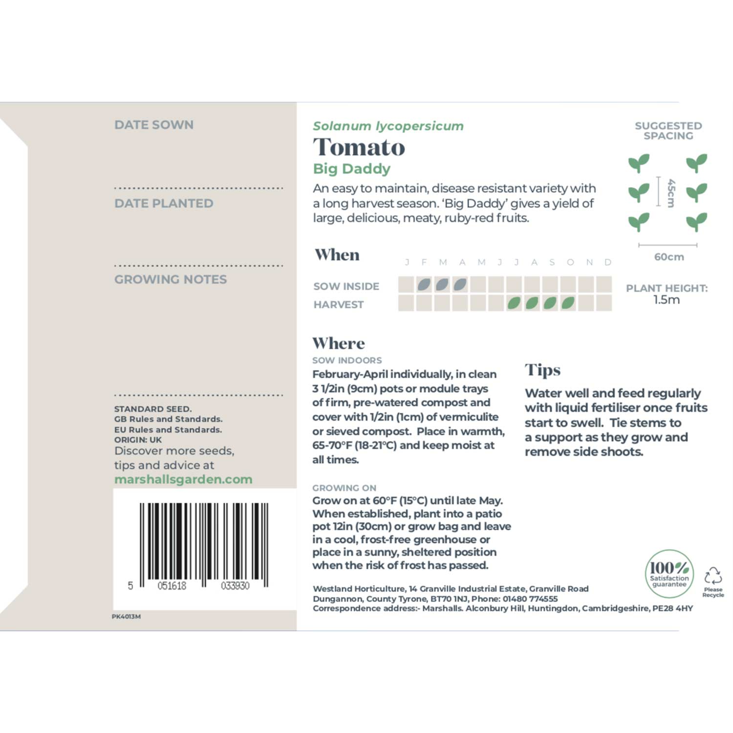 Tomato Seeds 'big Daddy' Disease-resistant Large Tomatoes | 15 Seeds