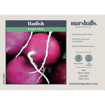Radish 'purple Plum' | 300 Seeds